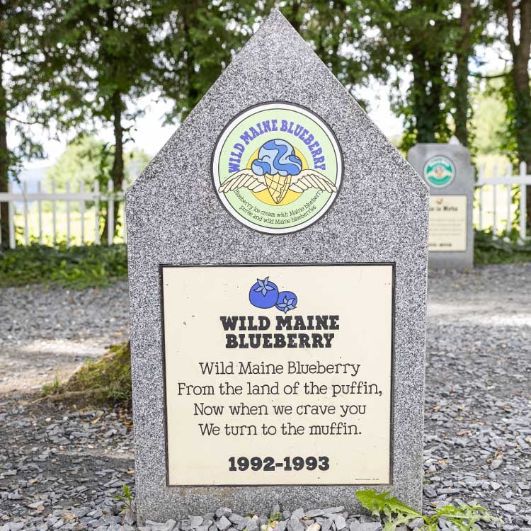 Wild Maine Blueberry tombstone